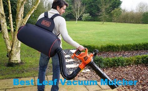 Best Leaf Vacuum Mulcher Reviews 2021 & Buying Guides