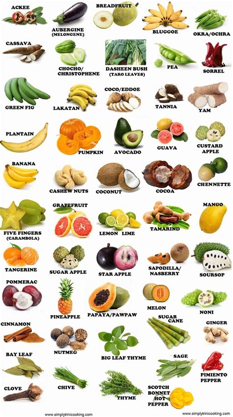 Fruits And Vegetables Names, List Of Vegetables, Healthy Protein Snacks ...