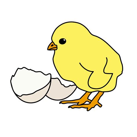 Baby Chick Pictures Clip Art - ClipArt Best