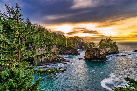 Top 7 Photo Spots at Olympic National Forest in 2024