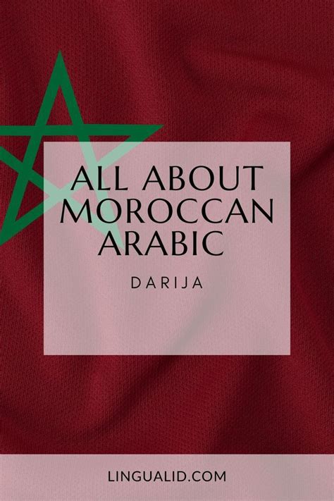 The Beginner's Guide to Moroccan Arabic