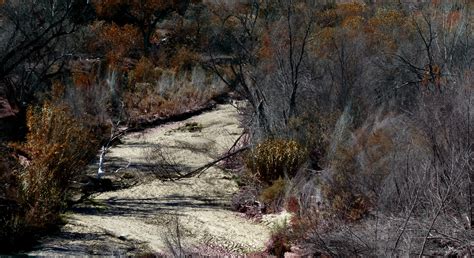 Dry River Bed Free Stock Photo - Public Domain Pictures