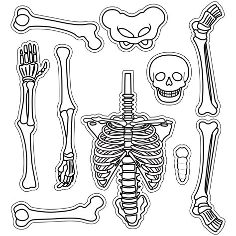 Printable Skeleton Template Cut Out - Printable Templates