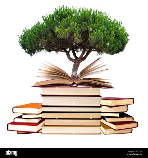 books with tree isolated on white background Stock Photo - Alamy