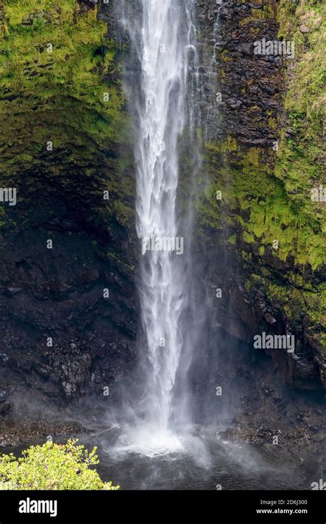 Akaka Waterfall, Akaka Falls State Park, Big Island, Hawaii Stock Photo ...