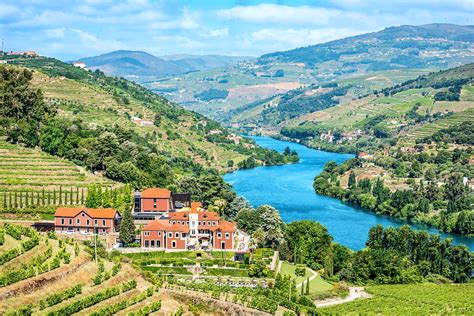 Discover 3 of the Best Vineyards in Douro Valley | Wine International ...