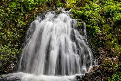 Tarn Hows walk - Tom Gill - Southern Lake district - Lake District walks