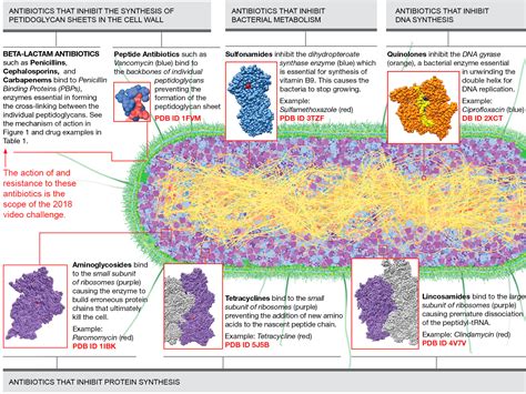 PDB-101: Video Challenge 2018