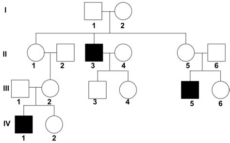 How To Read A Pedigree Chart