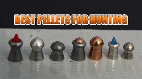 Best Airgun Pellets for Hunting - Madman Review - YouTube