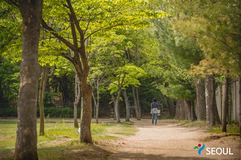 Yongsan Family Park - Seoul