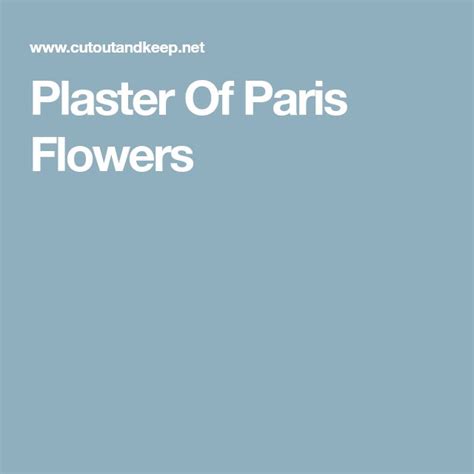 Plaster Of Paris Flowers | Paris flowers, Plaster of paris, Plaster