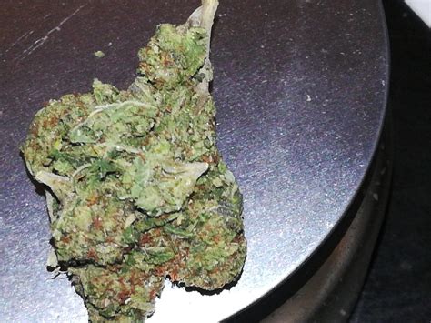 Do-Si-Dos Marijuana Strain Information & Reviews | AllBud