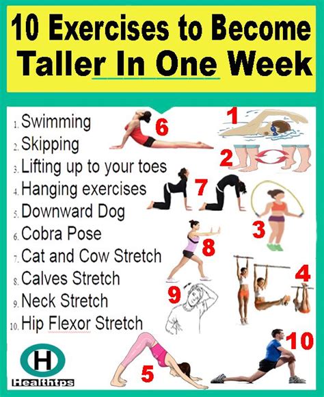 10 Exercises to Become Taller In One Week…