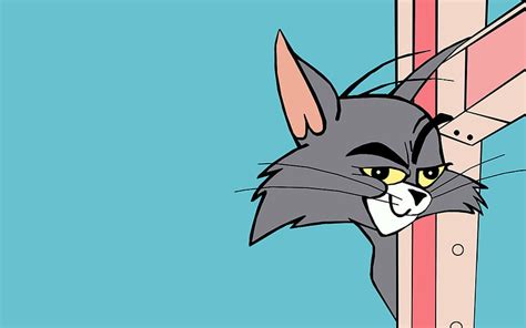 Tom And Jerry Tom Face, Tom and Jerry Funny HD wallpaper | Pxfuel