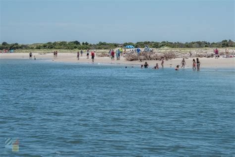 Shackleford Banks - OuterBanks.com