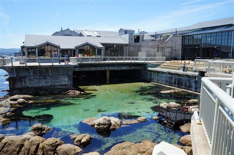 Visitor's Guide to the Monterey Bay Aquarium