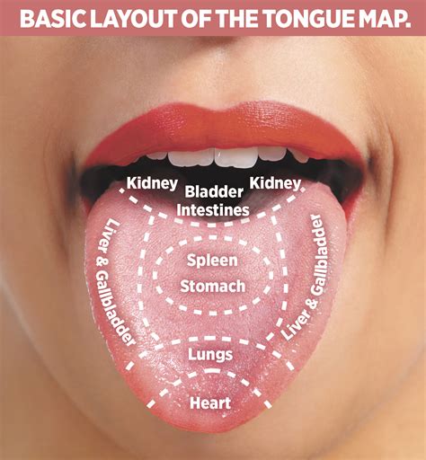 Tongue Diagnosis Map