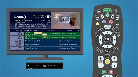 Wow Tv Listings | Examples and Forms