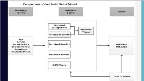 Chapter 4: Health Belief Model Diagram | Quizlet