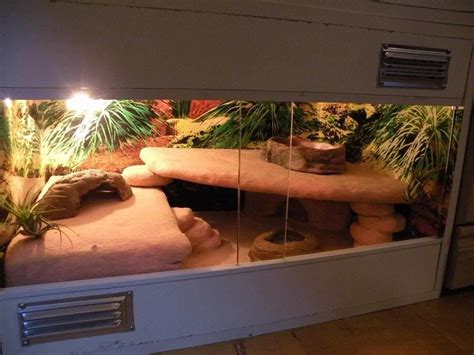 The 25+ best Leopard gecko habitat ideas on Pinterest | Leopard gecko ...