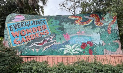 Everglades Wonder Gardens: 8 ways the old-time site delights