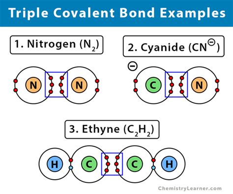 Triple Covalent Bond: Definition and Examples