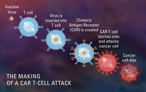 How is Gene Therapy Being Used to Treat Cancer? | Dana-Farber Cancer ...