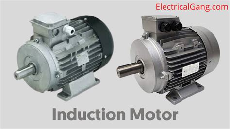 What Is an Induction Motor | Types of Induction Motor | Advantage of ...