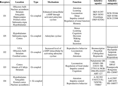 Perspective and knowledge of different dopamine receptors | Download ...