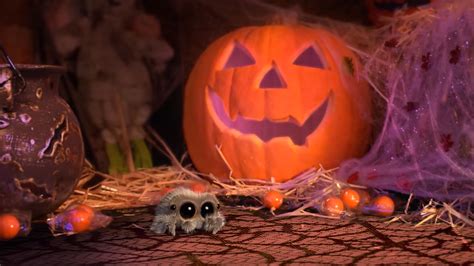 Things Get a Bit Spooky When Lucas the Spider Finds Another Spider's ...