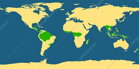 World Map With Tropical Rainforests