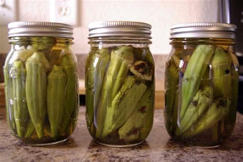 Fast, Easy Pickled Okra & Cucumbers (and a bonus salad recipe ...