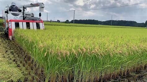 Intensive Farming In Japan - Farm House