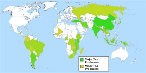 Tea Producing Countries and Regions | RateTea