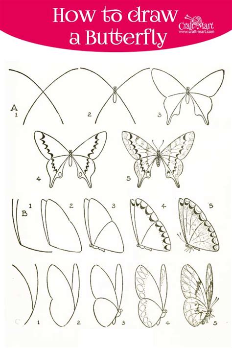 Easy Butterfly Drawing Outline / This is a supper easy simple butterfly ...