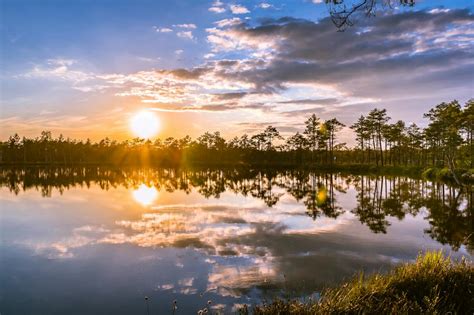 Green Trees Photo during Sunset · Free Stock Photo