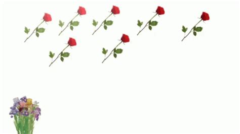 Png Flowers GIF - Png Flowers Animated GIFs | Rosé gif, Flowers gif ...