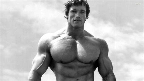 Top 999+ Arnold Schwarzenegger Wallpaper Full HD, 4K Free to Use