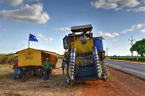 Mechanized tools for harvesting sugar cane in Guayabales Cuba 17673100 ...