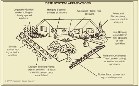 Drip Irrigation Design, Efficient Use of a Valuable Resource