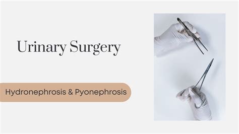 Urinary Surgery | Hydronephrosis & Pyonephrosis - YouTube