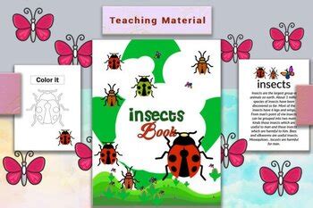 Kids Insects Books by Yourbelovedteacher | TPT