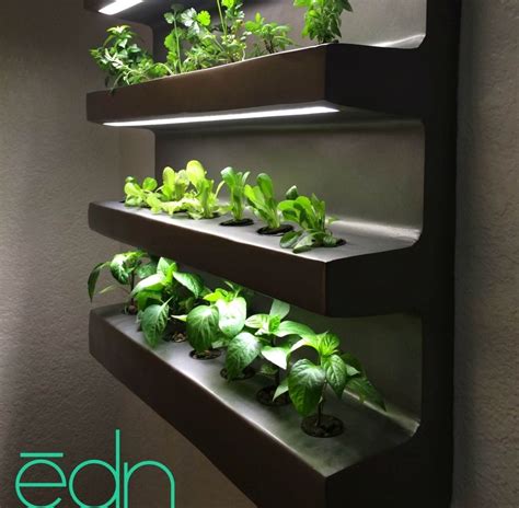 Wall-hanging Edn grows number of different vegetables and herbs