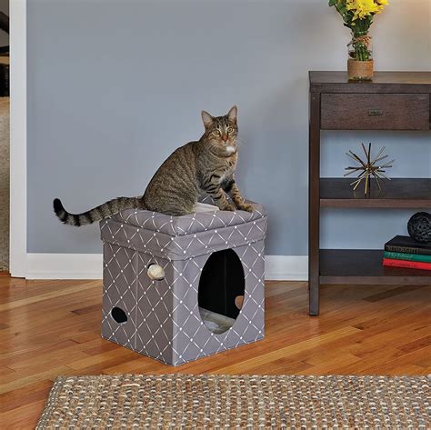 Cube Cat House - Curious Cat Cube - Cozy Cat Hideaway - Midwest Home ...