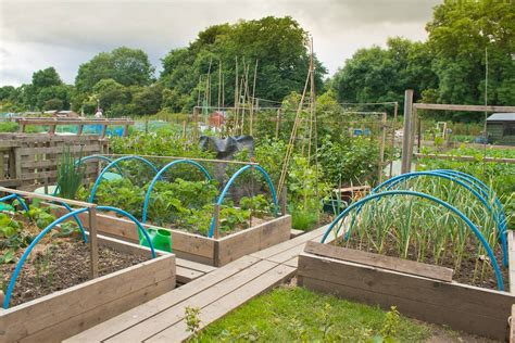 How to Construct Raised Beds - Raised Deep Bed Growing