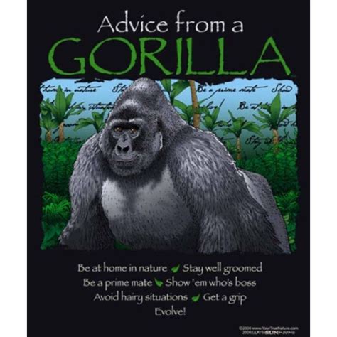 Gorilla Quotes - ShortQuotes.cc