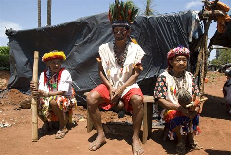 Why the Guaraní Kaiowà are victims of a silent genocide