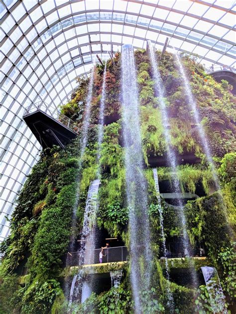 Cloud Forest waterfall in Gardens by the Bay Singapore. This dome has ...