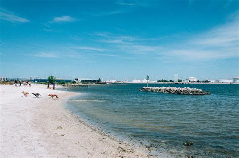 Davis Island Dog Beach | Past the airport on Davis Island li… | Flickr